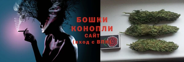 МДПВ Осинники