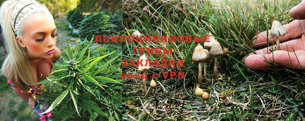 МДПВ Осинники