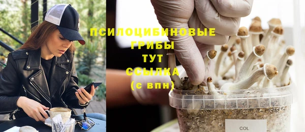 Альфа ПВП Абаза