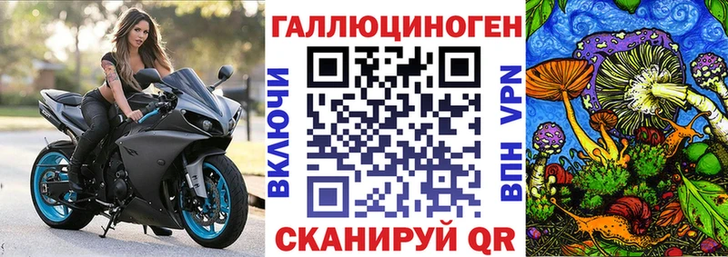 Псилоцибиновые грибы Psilocybine cubensis  ссылка на мегу как зайти  Юрга 