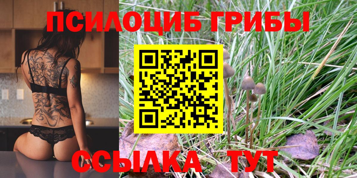 Псилоцибиновые грибы Cubensis Юрга