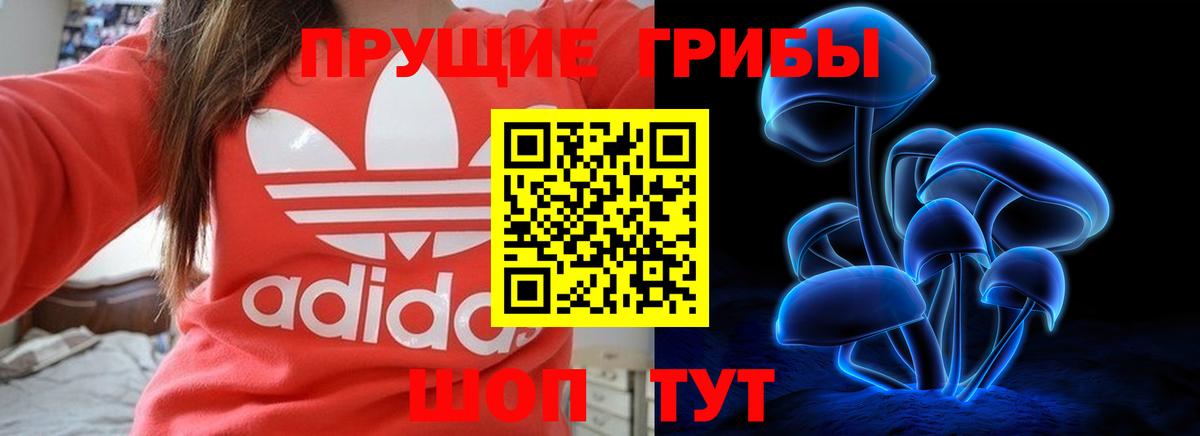 Юрга  Псилоцибиновые грибы ЛСД  наркошоп  Вход с VPN 